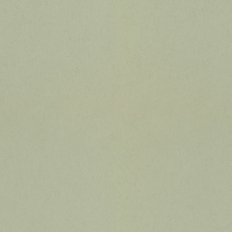 77005 Pistage Fagring Wallpaper By Galerie