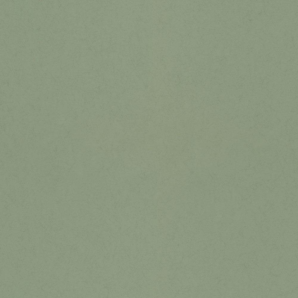 35T-77006 Sage 35 Tintas Wallpaper by Tres Tintas