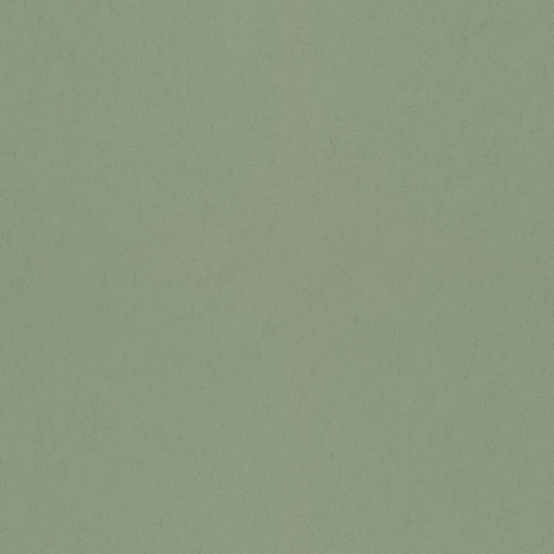 35T-77006 Sage 35 Tintas Wallpaper by Tres Tintas