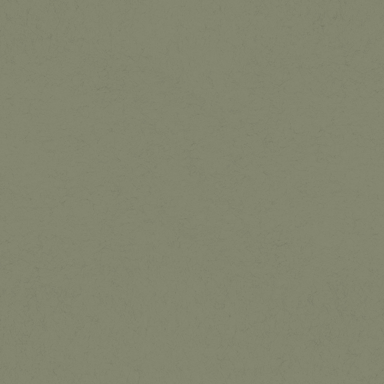 77007 Skog Plain Hidden Treasures Forest Wallpaper By Galerie