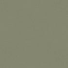 77007 Skog Plain Hidden Treasures Forest Wallpaper By Galerie