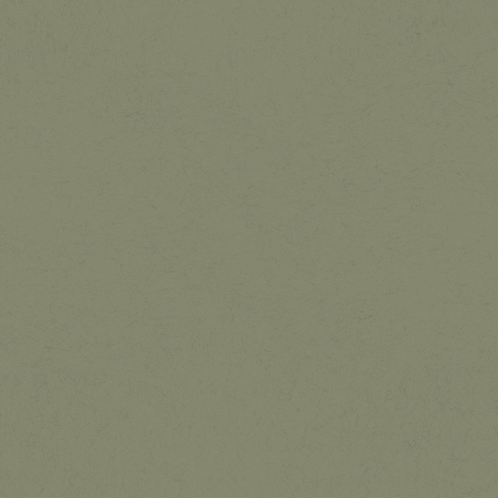 35T-77007 Forest 35 Tintas Wallpaper by Tres Tintas