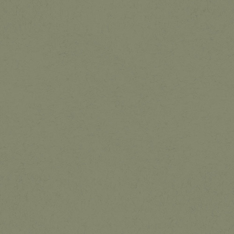 35T-77007 Forest 35 Tintas Wallpaper by Tres Tintas