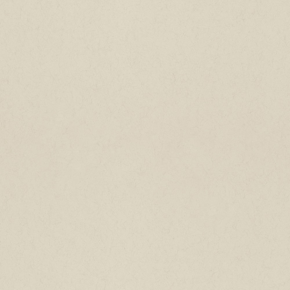 35T-77014 White Pepper 35 Tintas Wallpaper by Tres Tintas