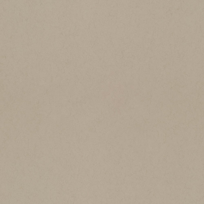 35T-77016 Potato 35 Tintas Wallpaper by Tres Tintas