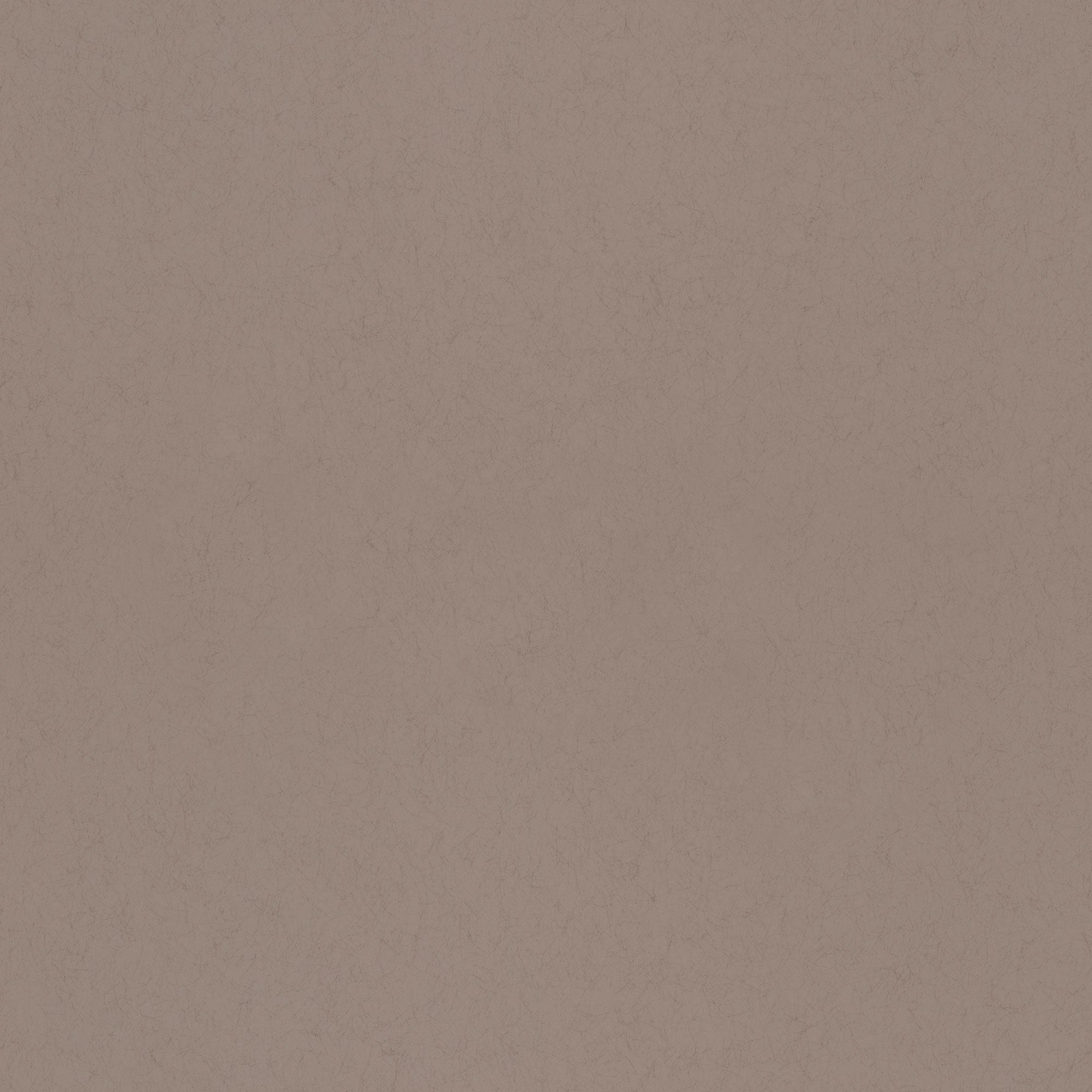 77017 Kanel Fagring Wallpaper By Galerie