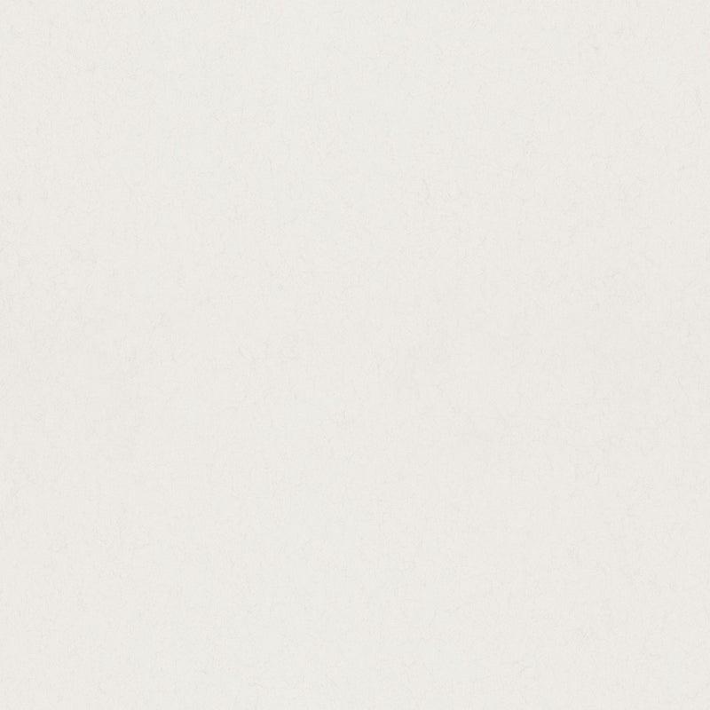 77019 Aggskal Plain Hidden Treasures Eggshell Wallpaper By Galerie