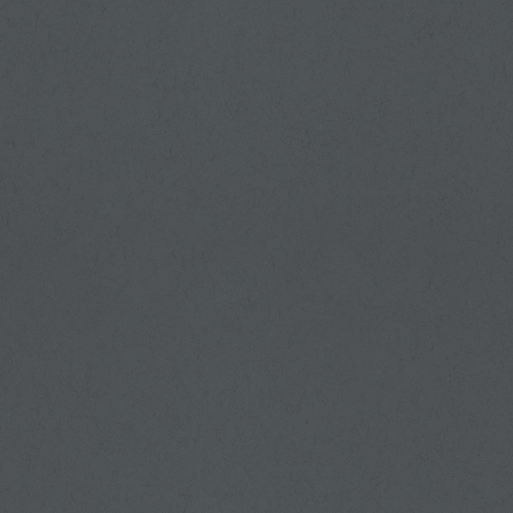 35T-77025 Blackbird 35 Tintas Wallpaper by Tres Tintas