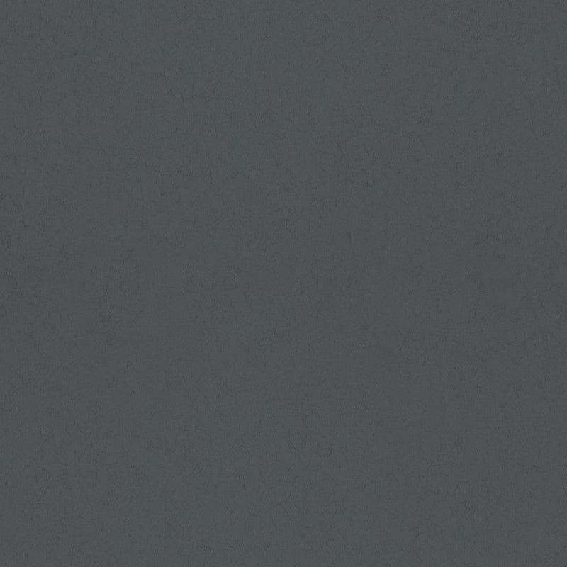 35T-77025 Blackbird 35 Tintas Wallpaper by Tres Tintas