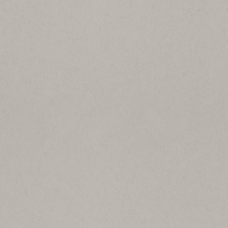 35T-77028 Goose Down 35 Tintas Wallpaper by Tres Tintas