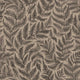Ferns Black and Brown Adorn Wallpaper by Boråstapeter
