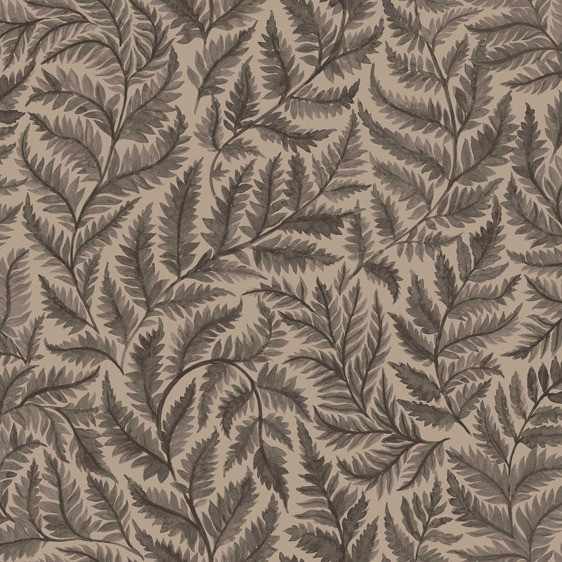 7793 Ferns Black and Brown Adorn Wallpaper by Boråstapeter