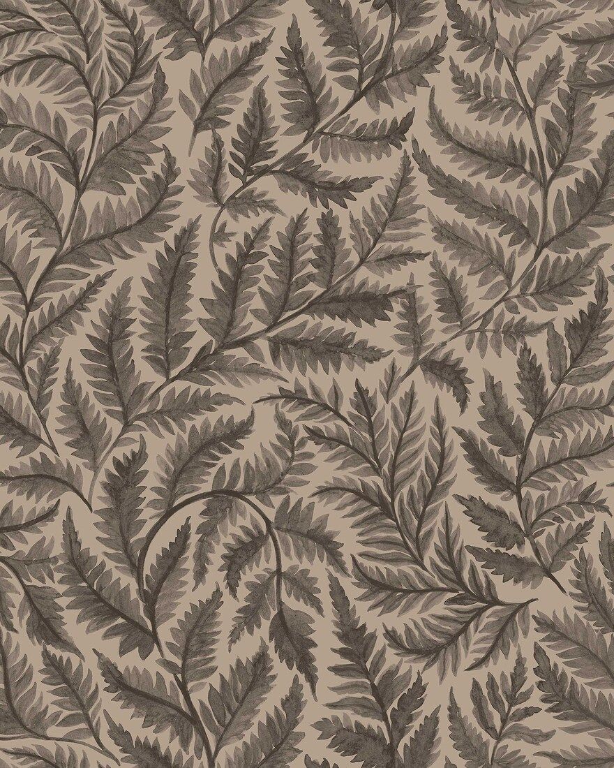 7793 Ferns Black and Brown Adorn Wallpaper by Boråstapeter