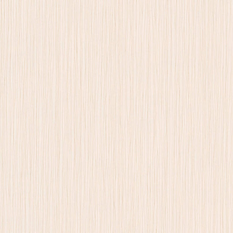 78554-1 Styleguide Colours 2024 Wallpaper by A S Creation