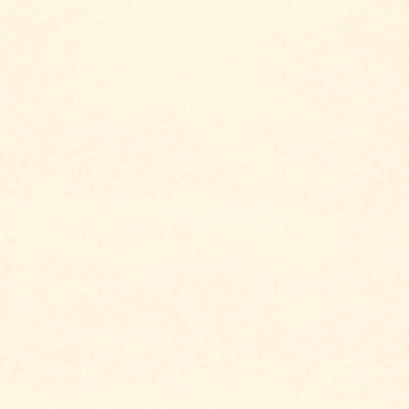 7878/02 Celino Rice Paper Fabric by Romo