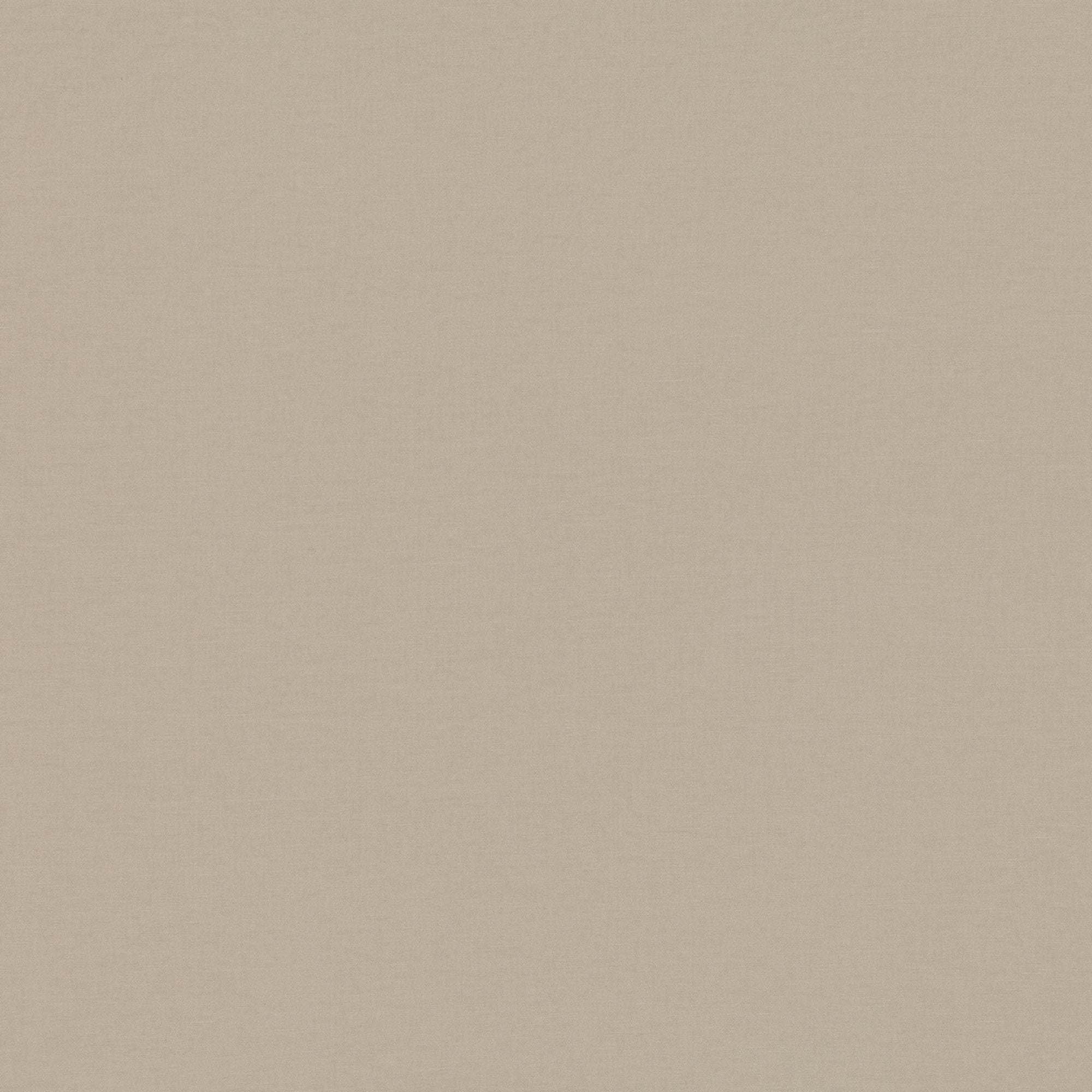 7878/08 Celino Muesli Fabric by Romo