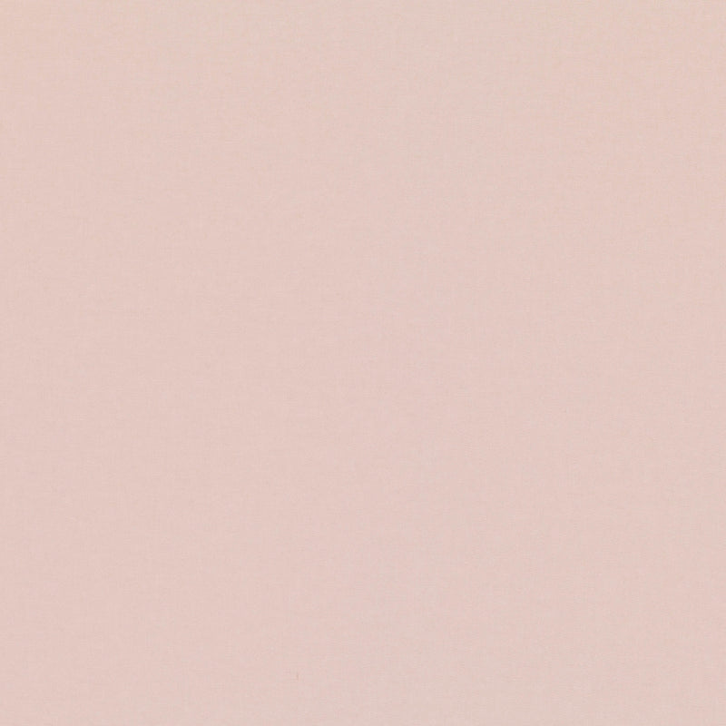 7878/25 Celino Plaster Fabric by Romo
