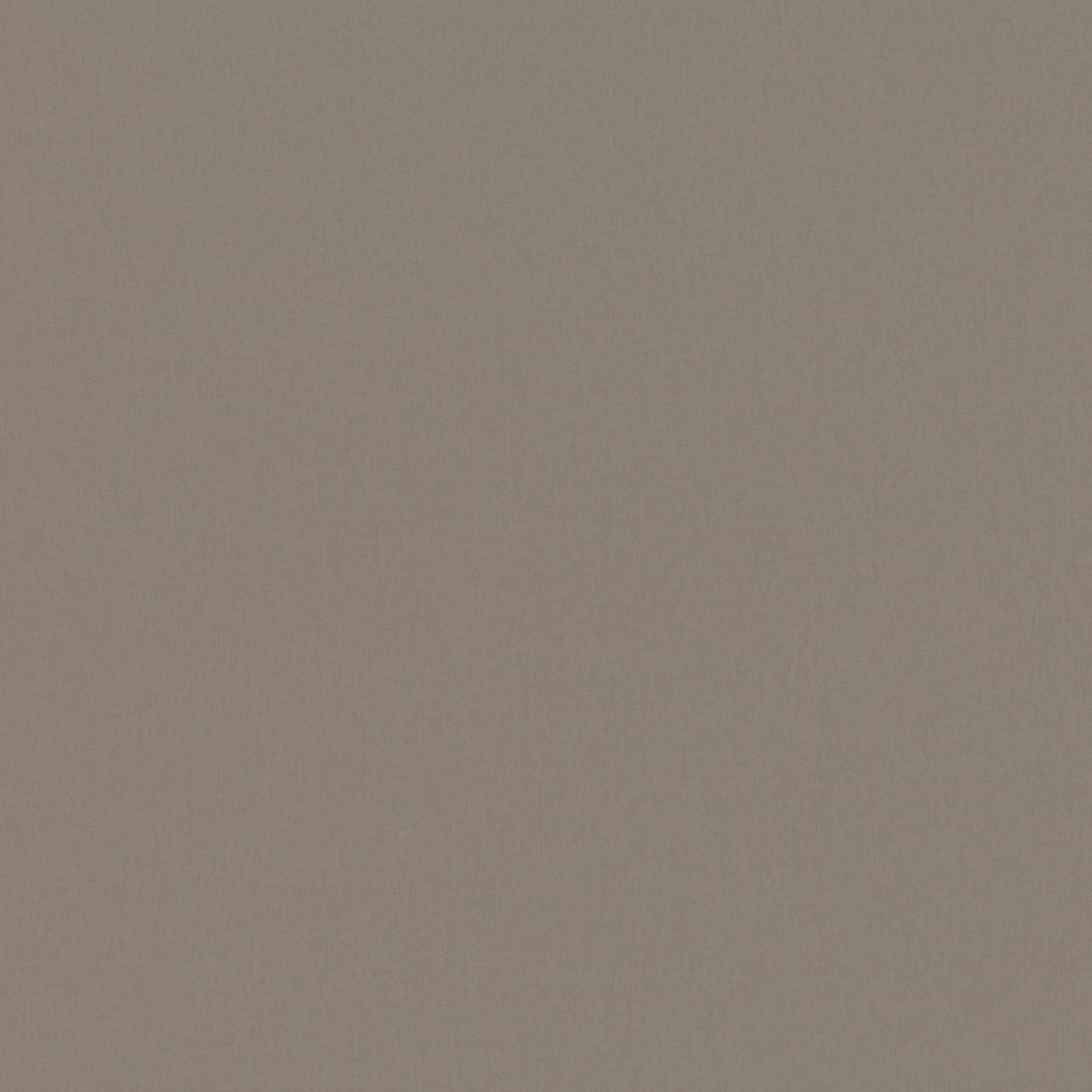 7878/48 Celino Mercury Fabric by Romo