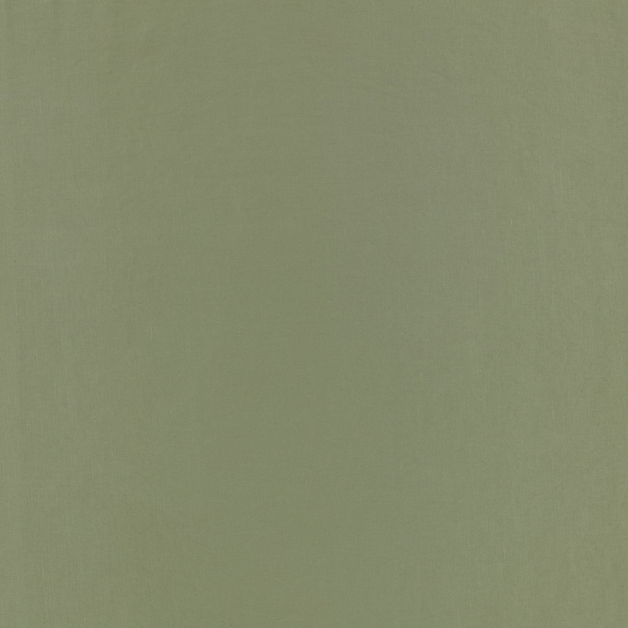7878/83 Celino Fern Fabric by Romo