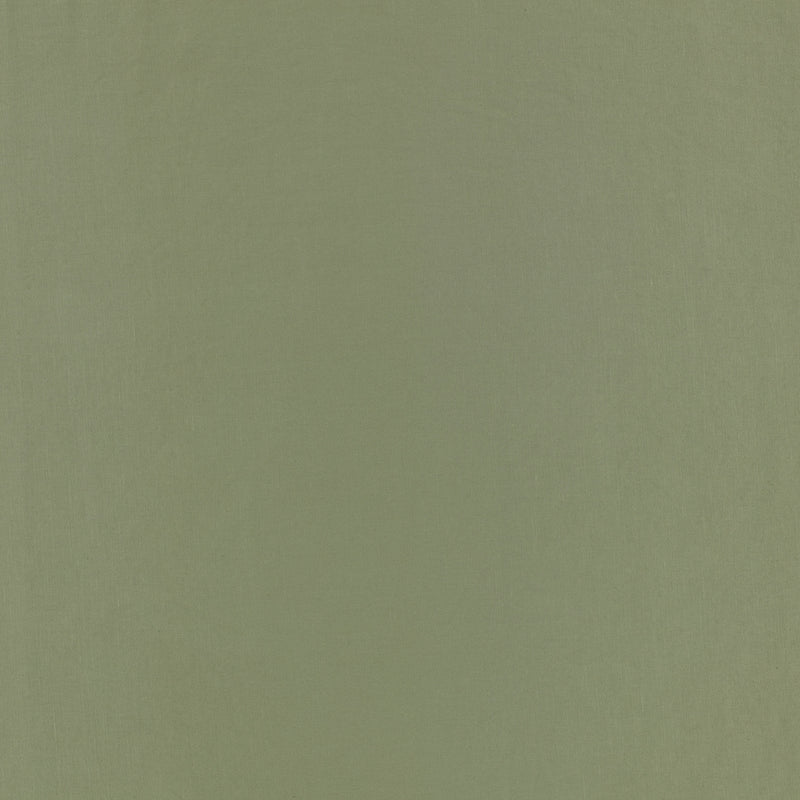 7878/83 Celino Fern Fabric by Romo
