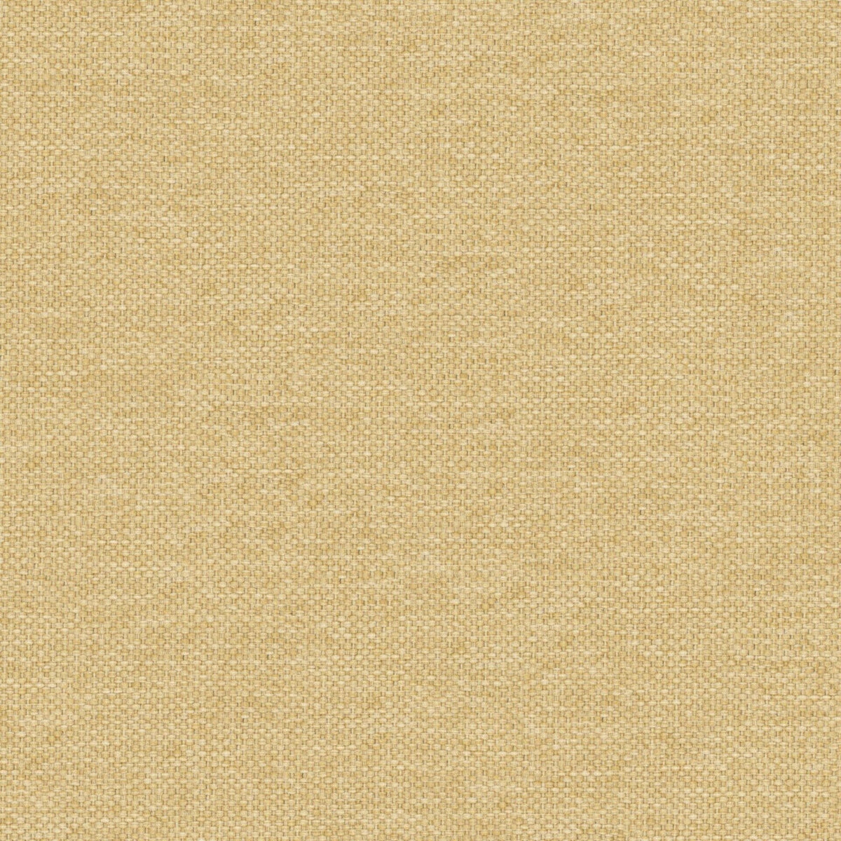 7892/120 Dawson Harvest Fabric by Prestigious Textiles