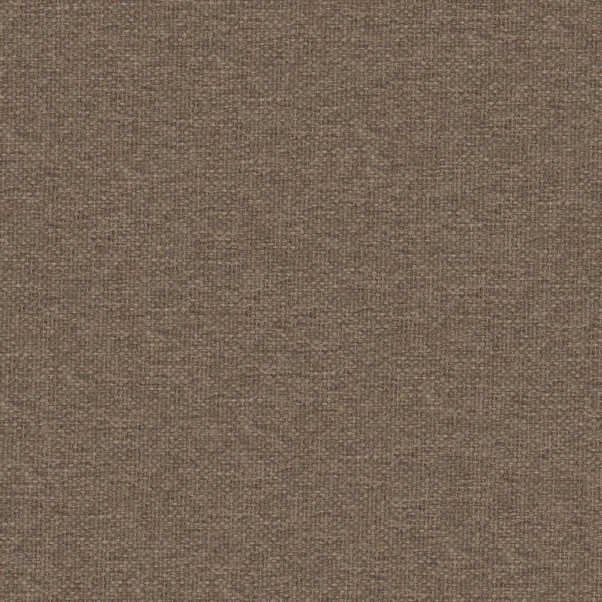 7892/467 Dawson Pinecone Fabric by Prestigious Textiles