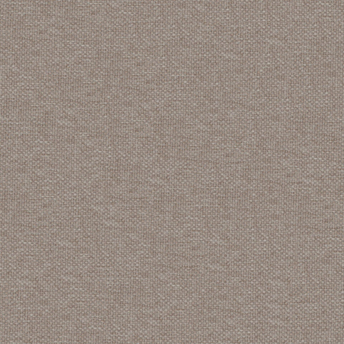 7892/499 Dawson Truffle Fabric by Prestigious Textiles