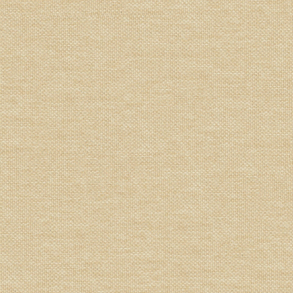 7892/529 Dawson Straw Fabric by Prestigious Textiles