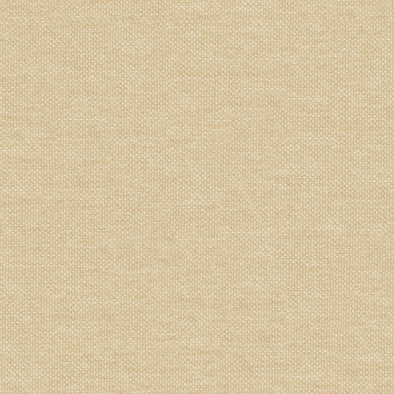 7892/529 Dawson Straw Fabric by Prestigious Textiles