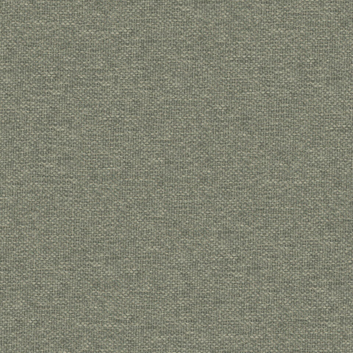 7892/612 Dawson Grass Fabric by Prestigious Textiles