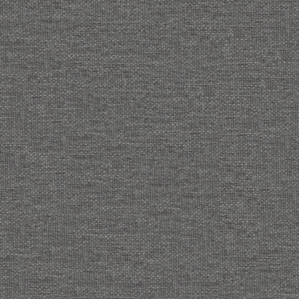 7892/901 Dawson Charcoal Fabric by Prestigious Textiles