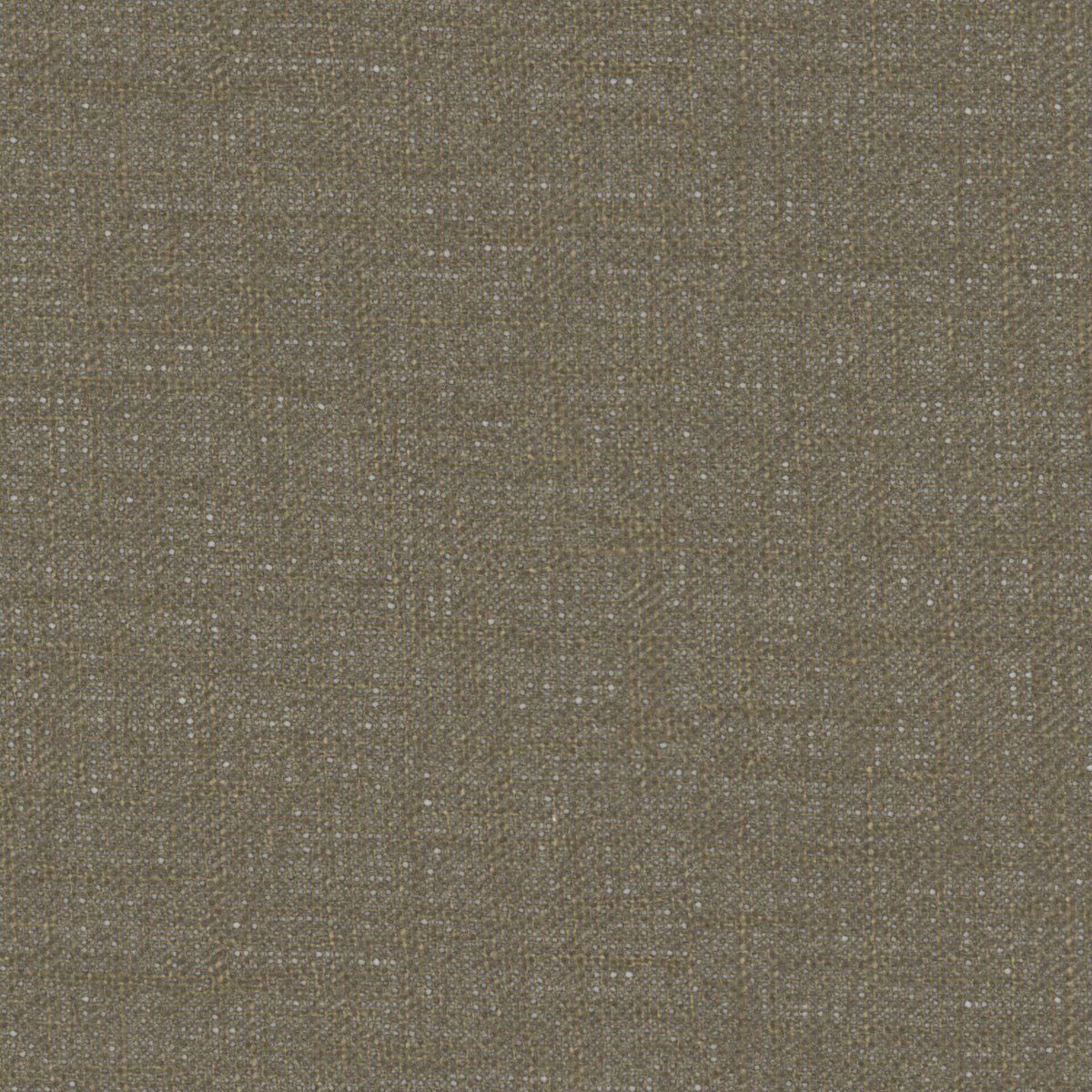 7893/393 Mistral Camouflage Fabric by Prestigious Textiles