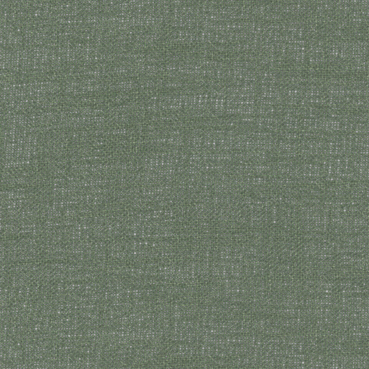 7893/618 Mistral Olive Fabric by Prestigious Textiles
