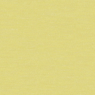 Boutique Lime Fabric by Prestigious Textiles