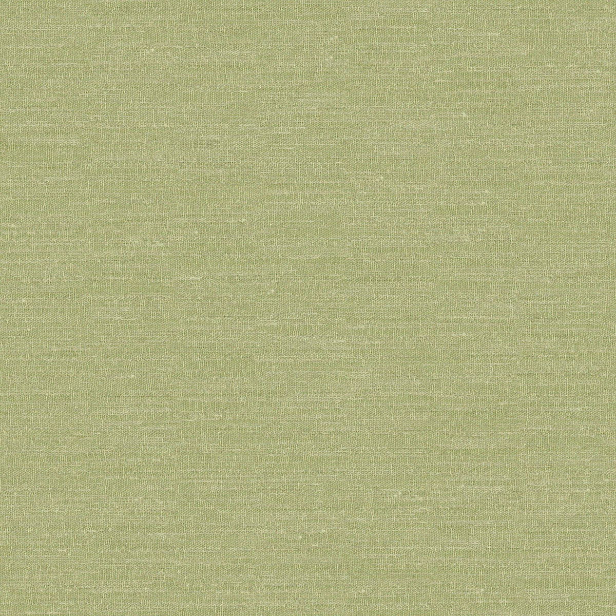7896/651 Boutique Pistachio Fabric by Prestigious Textiles