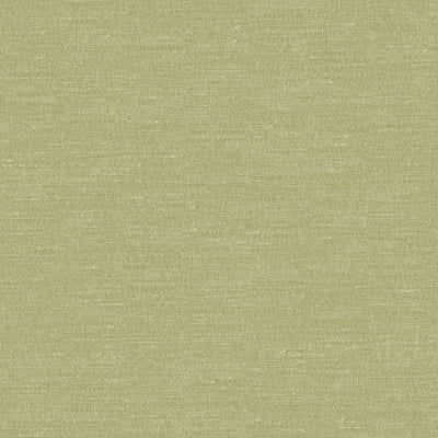 Boutique Pistachio Fabric by Prestigious Textiles