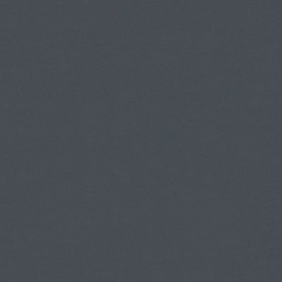 Faye Onyx Fabric by Prestigious Textiles