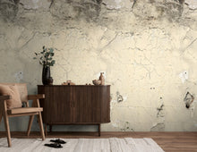 792266 The Wall 4 Multi-Colour & Grey Mural by AS Creation