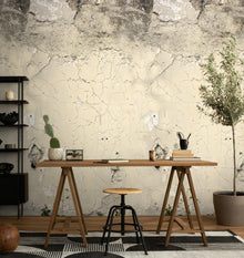 792266 The Wall 4 Multi-Colour & Grey Mural by AS Creation