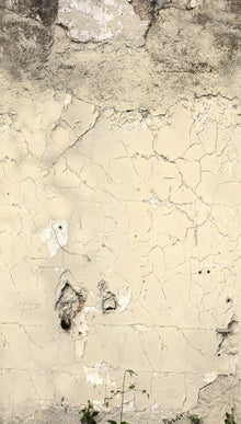 792266 The Wall 4 Multi-Colour & Grey Mural by AS Creation