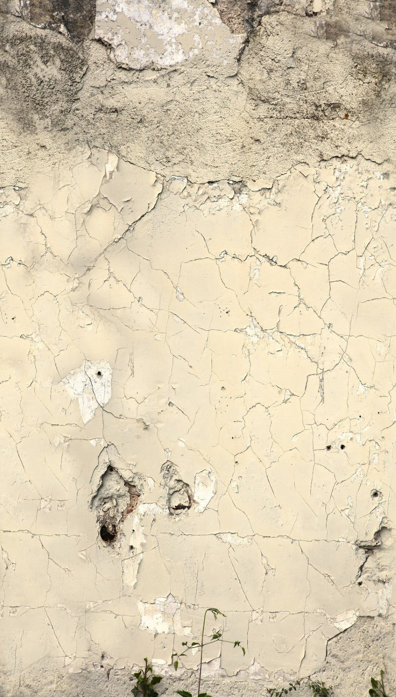 792266 The Wall 4 Multi-Colour & Grey Mural by AS Creation