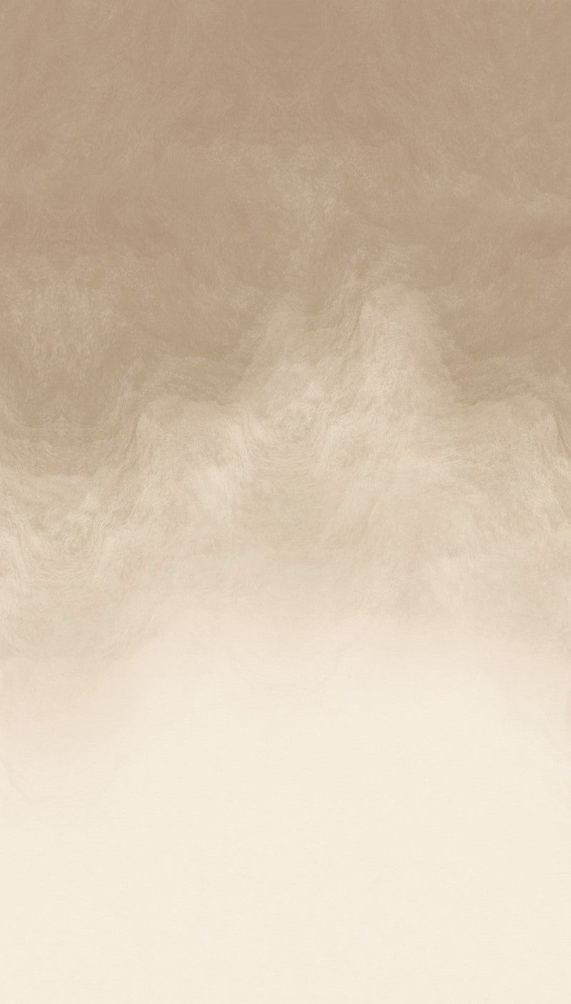 792393 The Wall 4 Cream & Grey Mural by AS Creation