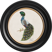 Happy Hour Bruce on Chalk White Framed Art Prints by Brand McKenzie