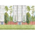 Urban Garden Color Mural by Coordonné