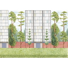 Urban Garden Color Mural by Coordonné