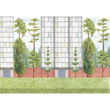 Urban Garden Color Mural by Coordonné