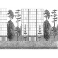 Urban Garden Black&White Mural by Coordonné