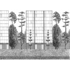 Urban Garden Black&White Mural by Coordonné