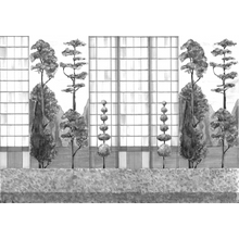Urban Garden Black&White Mural by Coordonné