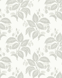8058 Tengbergska Light Grey Anno II Wallpaper by Boråstapeter
